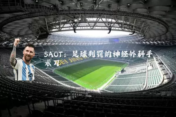 SAOT:足球判罚的神经外科手术刀